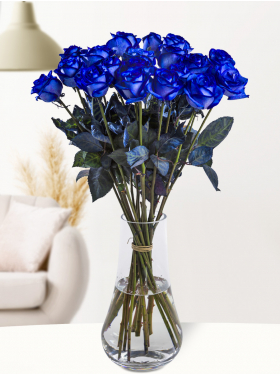 20 Blaue Rosen