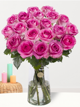 20 Pinke Rosen