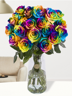 20 Regenbogen Rosen