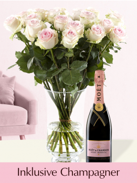 Rosa Rosen mit Moët & Chandon Champagner Brut Rosé 0.375l