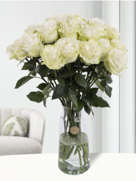 20 Weiße Rosen aus Ecuador