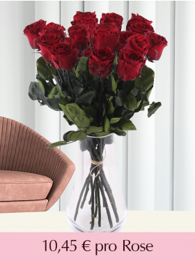 21 bis 50 Bordeauxrote Rosen