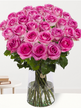 30 Pinke Rosen