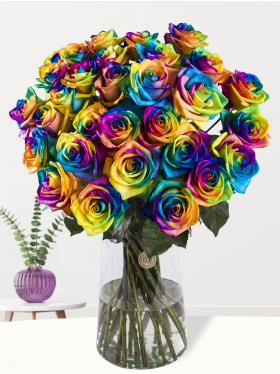 30 Regenbogen Rosen