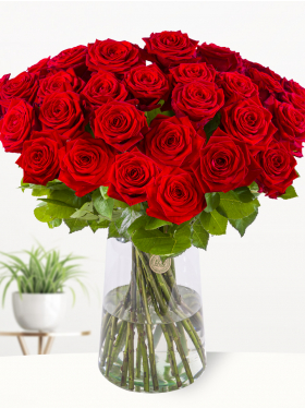 30 Rote Rosen - Red Naomi