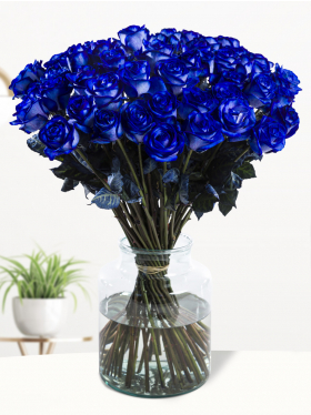 50 Blaue Rosen