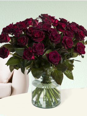 50 Dunkelrote Rosen - Black Baccara