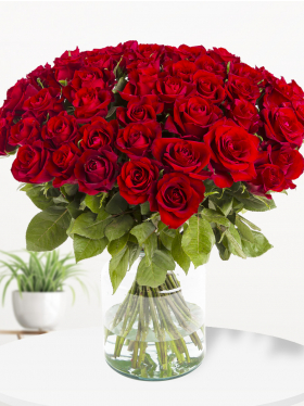 50 Rote Rosen