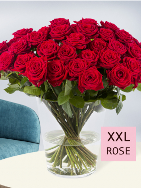 50 Rote Rosen - Red Naomi