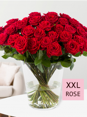50 Rote Rosen - Red Naomi