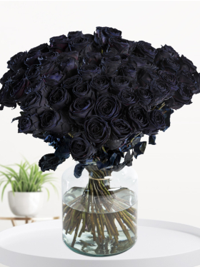 50 Schwarze Rosen