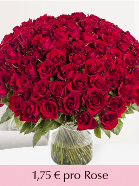 500 bis 1001 Rote Rosen - EverRed