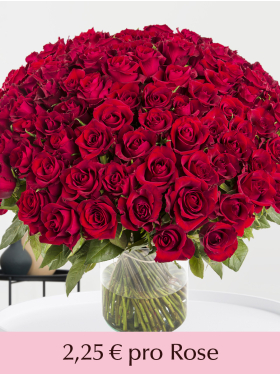 500 bis 1001 Rote Rosen - EverRed