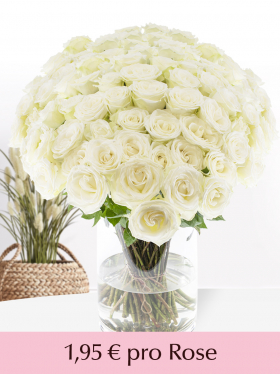 500 bis 1001 Weiße Rosen - Snowstorm