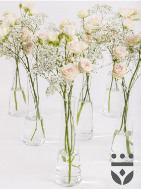 6 Pastell Centerpieces, inklusive Vasen - Silber | Hoch gebunden