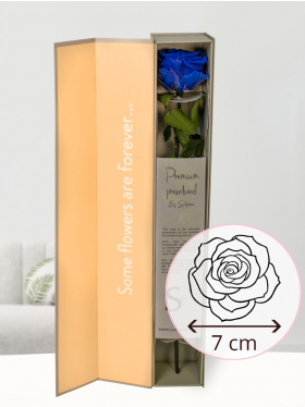 Blaue konservierte Premium Rose in Geschenkbox