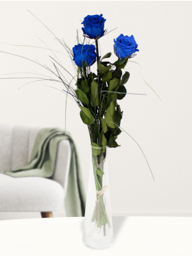 Drei blaue long life Rosen, inklusive Glasvase
