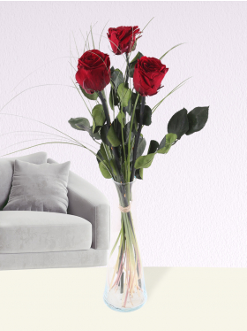 Drei bordeauxrote, long life Rosen inklusive Glassvase