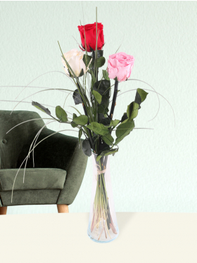 Drei Bunte, long life Rosen inklusive Glassvase