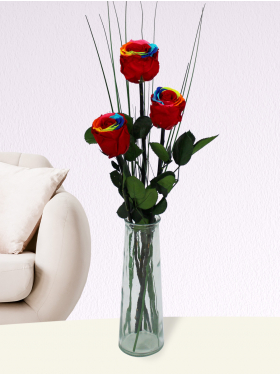 Drei long life regenbogen rosen