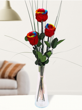 Drei long life regenbogen rosen