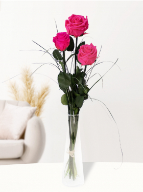Drei pinke long life Rosen, inklusive Vase