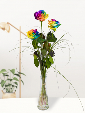 Drei Regenbogen Rosen, inklusive Glasvase