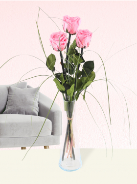 Drei rosa, long life Rosen inklusive Glassvase