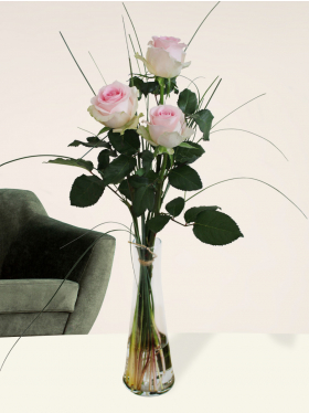 Drei Rosa Rosen inklusive Glasvase - Sweet Revival