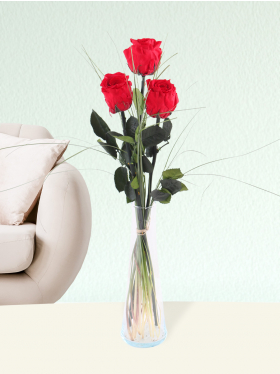Drei rote, long life Rosen inklusive Glasvase