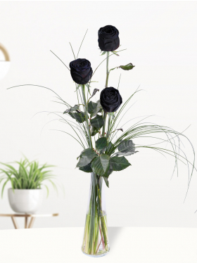 Drei Schwarze Rosen inklusive Vase