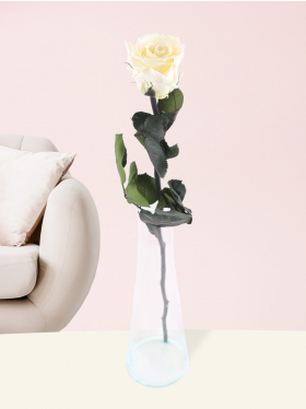 Einzelne weiße, long life Rose inklusive Glassvase