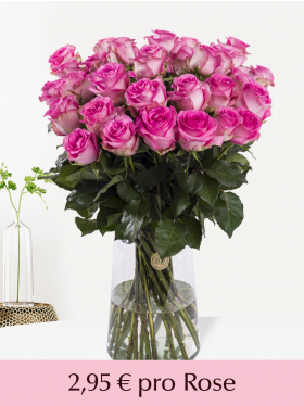 Pinke Rosen - Revival - 10 bis 99 Stück