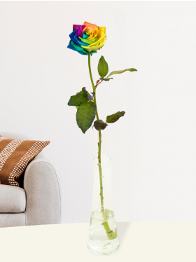 Regenbogen Rose inklusive Vase