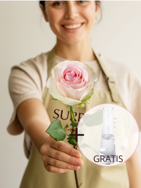 Rosa Rose inklusive Glasvase - Sweet Revival