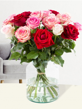 Rosa-Roter Rosenmix