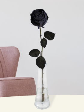 Schwarze Rose, inklusive Vase