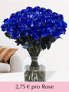 100 bis 500 Blaue Rosen