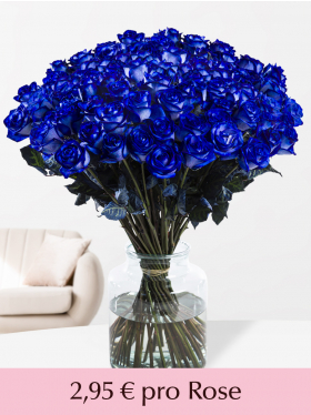 100 bis 500 Blaue Rosen