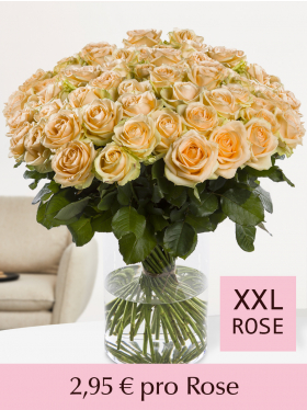 St&uuml;ckzahl Apricotfarbene Rosen - 100 bis 499