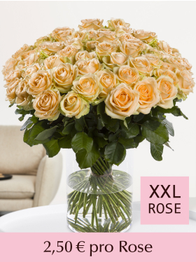 Stückzahl Apricotfarbene Rosen - 100 bis 499