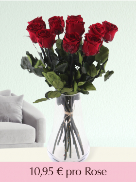 Stückzahl Bordeauxrote long life Rosen - 5 bis 20 Stück