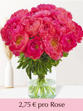 Apricot-Pinke Pfingstrosen - 10 bis 99 Pfingstrosen