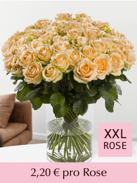 Stückzahl Lachsfarbene Rosen - 100 bis 499