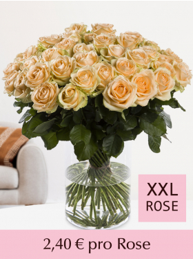 10 bis 99 Lachsfarbene Rosen