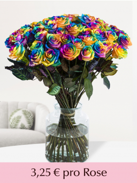 10 bis 49 Regenbogen Rosen