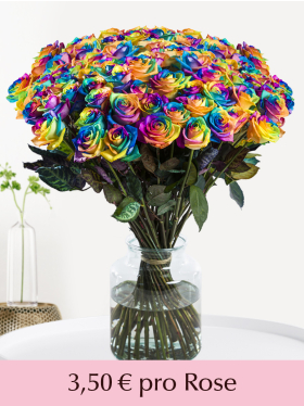 100 bis 500 Regenbogen Rosen