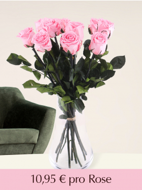 Stückzahl Rosa long life Rosen - 5 bis 20 Stück