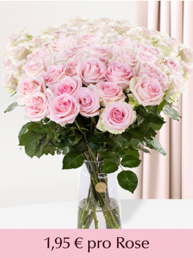 500 bis 1001 Zart-Rosa Rosen