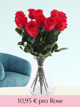 Stückzahl Rote long life Rosen - 5 bis 20 Stück